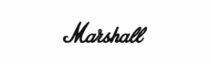 Marshall _ Company Logo _ Greyscale _ Tech Score Inc